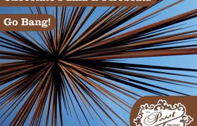 Chocolate Puma & Firebeatz – Go Bang!